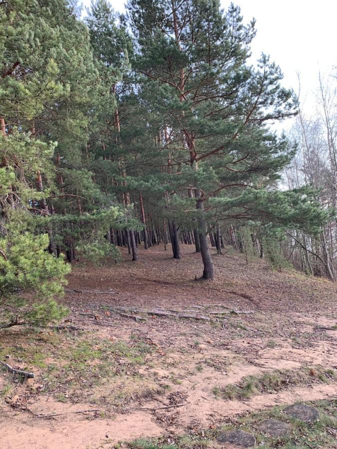 Florin Apartman Daugavpils Kültér fotó